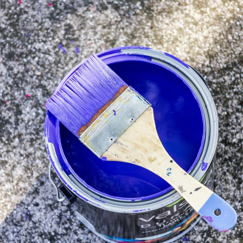 SHEA Signature Interior Paint